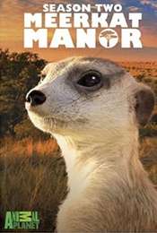 Meerkat Manor Season 2