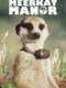 Meerkat Manor : Season 3