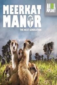 Meerkat Manor - Poster