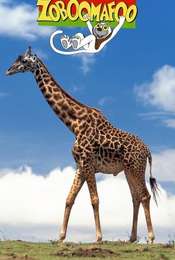 Zoboomafoo Season 2