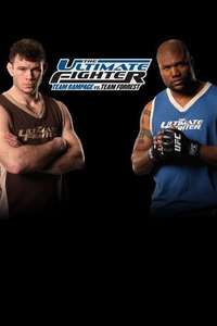 The Ultimate Fighter - Poster