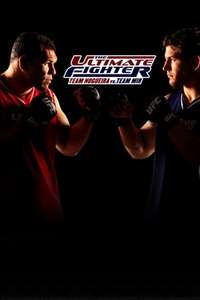 The Ultimate Fighter - Poster