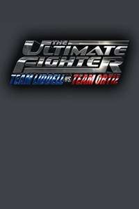 The Ultimate Fighter - Poster