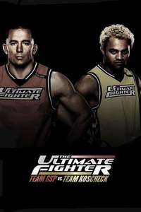 The Ultimate Fighter - Poster