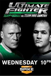 The Ultimate Fighter - Poster