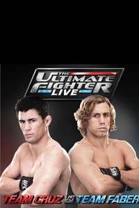 The Ultimate Fighter - Poster