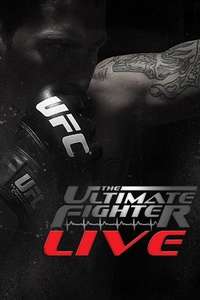 The Ultimate Fighter - Poster