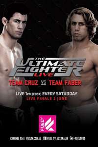The Ultimate Fighter - Poster