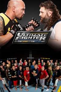 The Ultimate Fighter - Poster