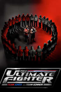 The Ultimate Fighter - Poster