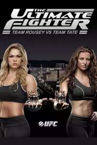 The Ultimate Fighter - Poster