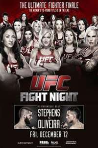 The Ultimate Fighter - Poster