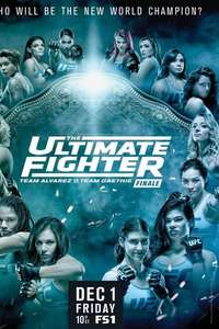 The Ultimate Fighter - Poster