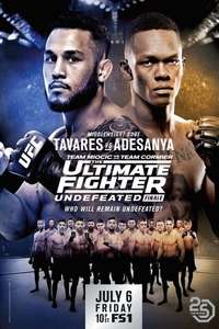 The Ultimate Fighter - Poster