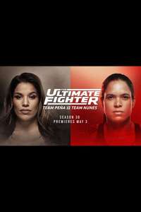 The Ultimate Fighter - Poster