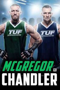 The Ultimate Fighter - Poster