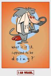 I Am Weasel Season 2