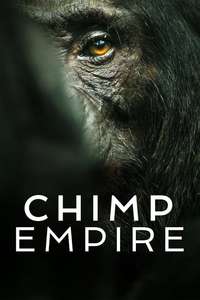 Chimp Empire - Posters