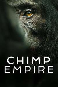 Chimp Empire - Posters