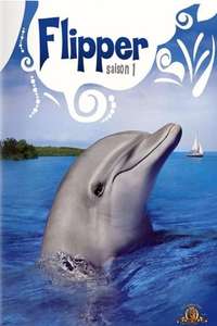 Flipper - Poster