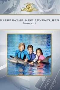 Flipper - Poster