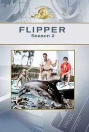 Flipper Season 4