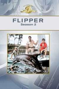 Flipper - Poster