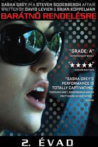 The Girlfriend Experience - Posters