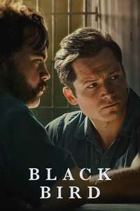 Black Bird - Posters