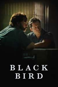 Black Bird - Posters