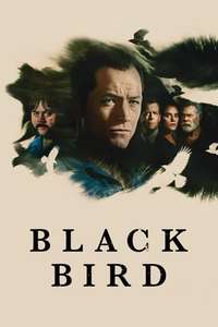 Black Bird - Posters