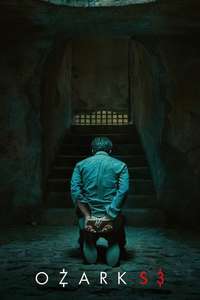 Ozark - Posters