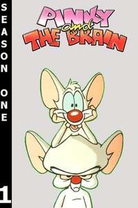 Pinky and the Brain - Poster