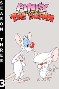 Pinky and the Brain - Poster