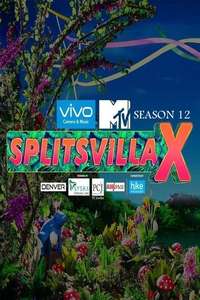 MTV Splitsvilla - Posters