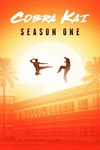 Cobra Kai - Posters
