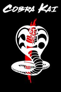 Cobra Kai - Posters
