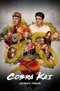 Cobra Kai - Posters
