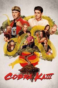 Cobra Kai - Posters
