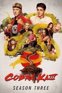 Cobra Kai - Posters