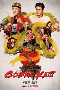 Cobra Kai - Posters