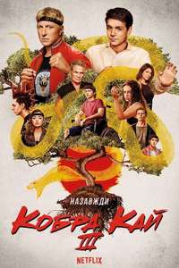 Cobra Kai - Posters