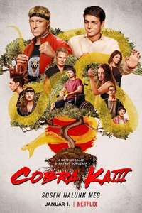 Cobra Kai - Posters