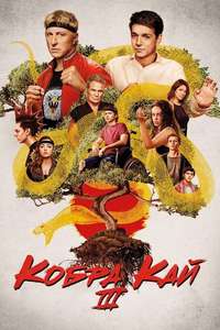 Cobra Kai - Posters