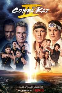 Cobra Kai - Posters
