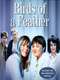 Birds of a Feather : Season 1