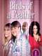 Birds of a Feather : Season 3
