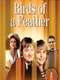 Birds of a Feather : Season 4