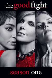 The Good Fight - Posters