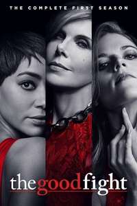 The Good Fight - Posters